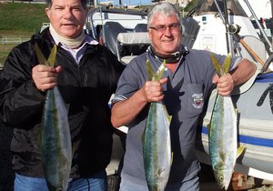 Birkenheaders tevrede